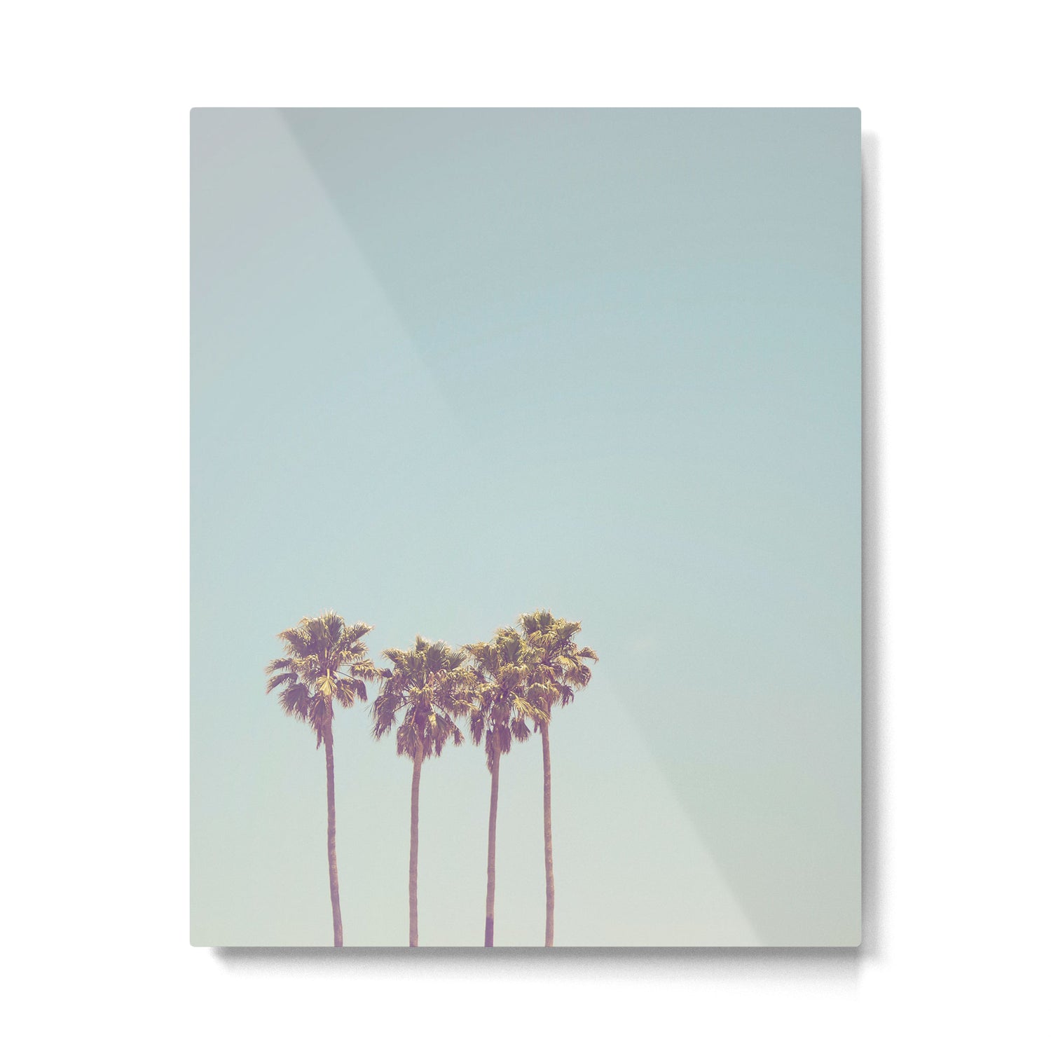 Palm Tree Metal Print Gallery Image 4