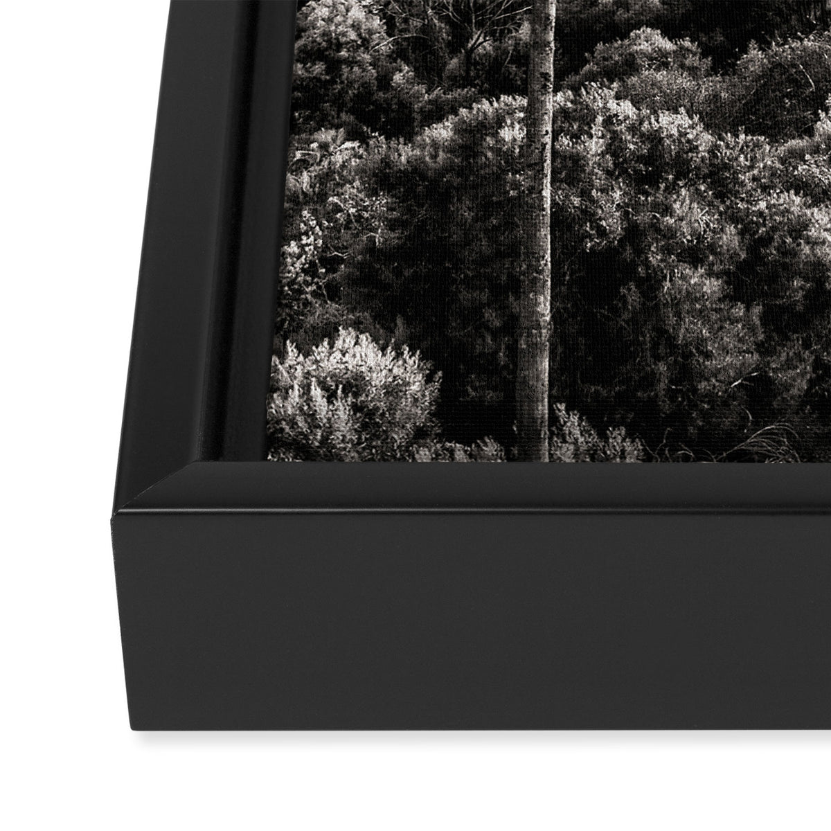Los Angeles Black and White Framed Canvas Print Gallery Image 3
