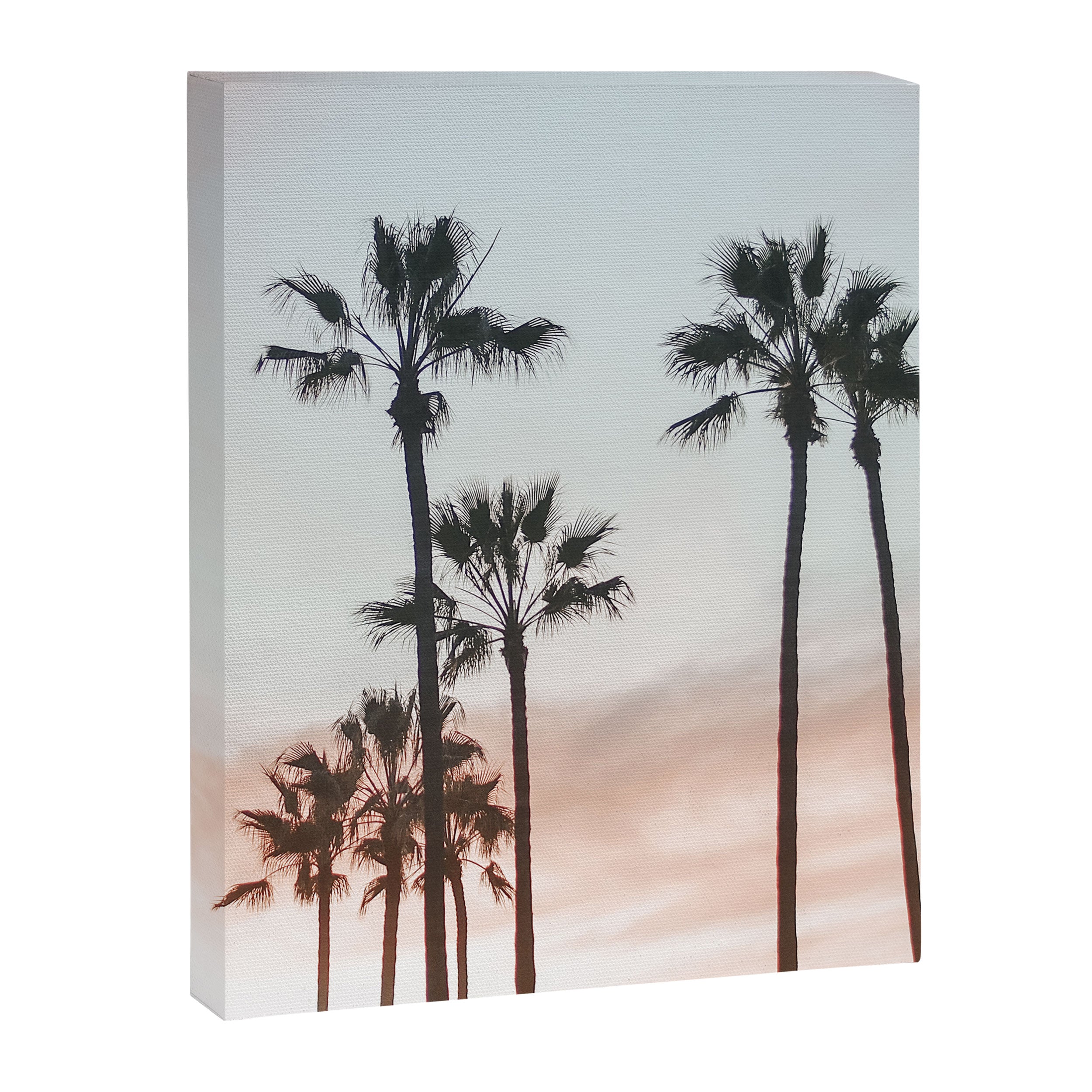 Palm Tree California Canvas Print Gallery Image 6