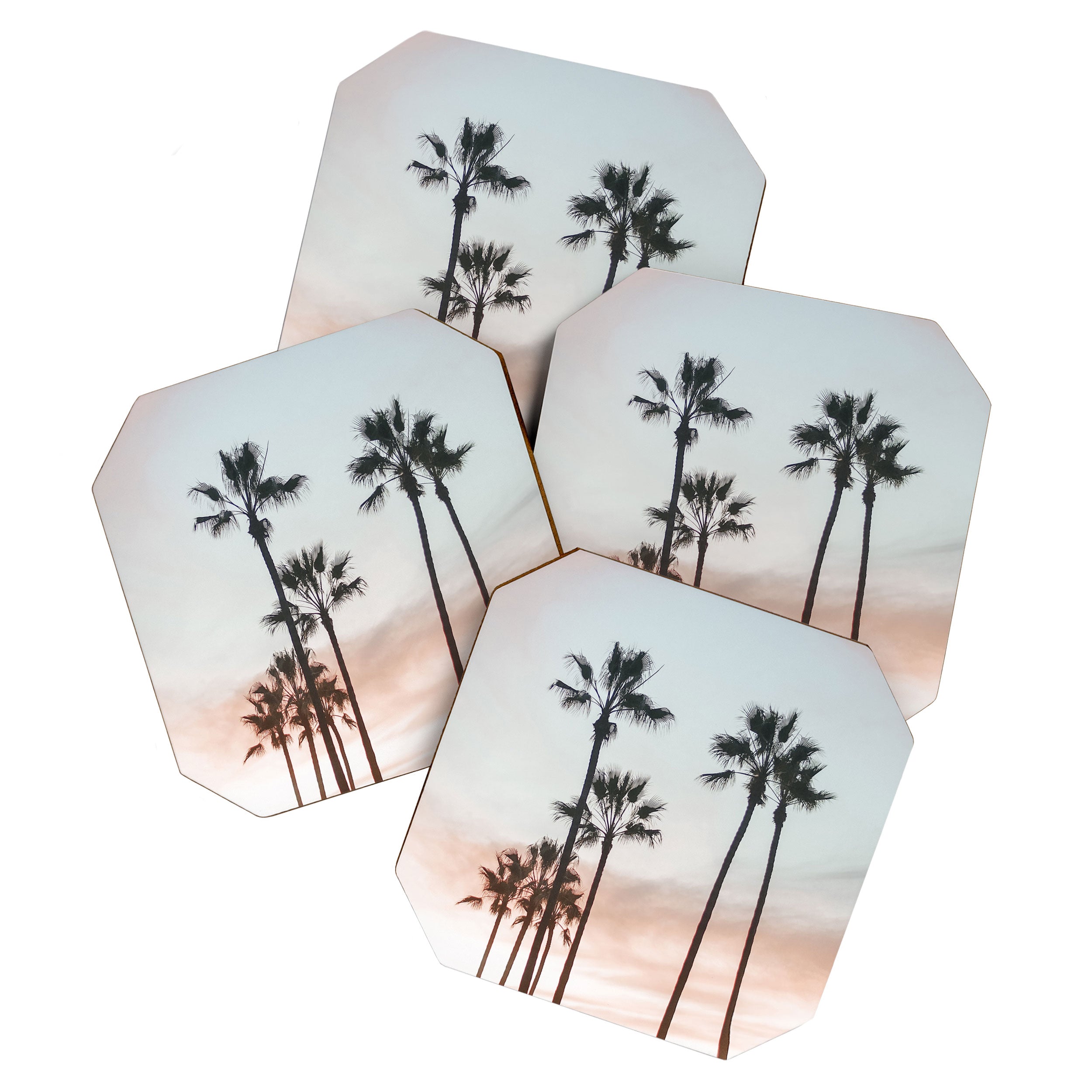 Palm Tree California Coaster Gallery Image 1