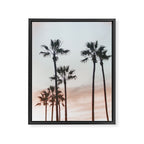 Palm Tree California Framed Canvas Print Gallery Image 6