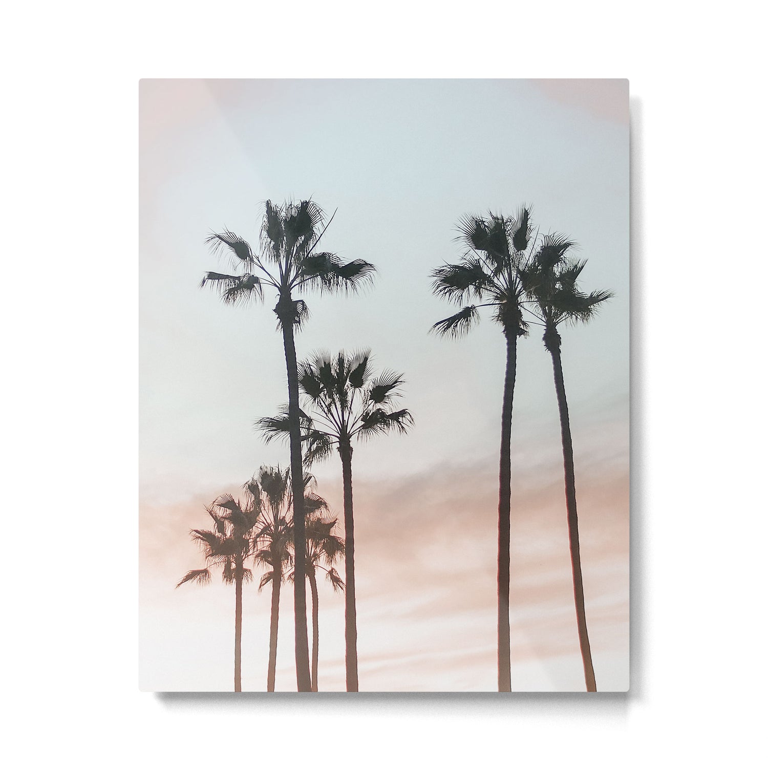 Palm Tree California Metal Print Gallery Image 4