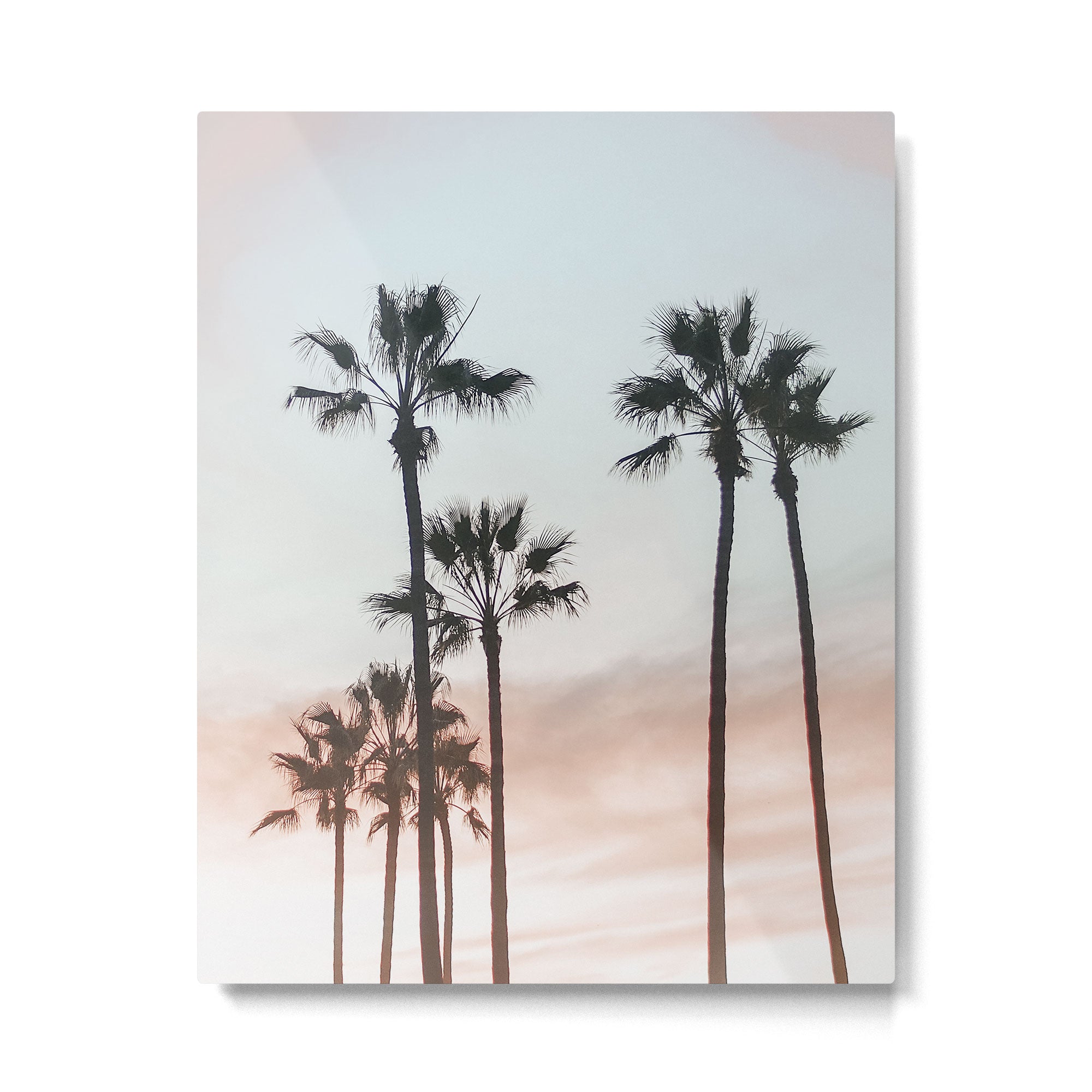 Palm Tree California Metal Print Gallery Image 4