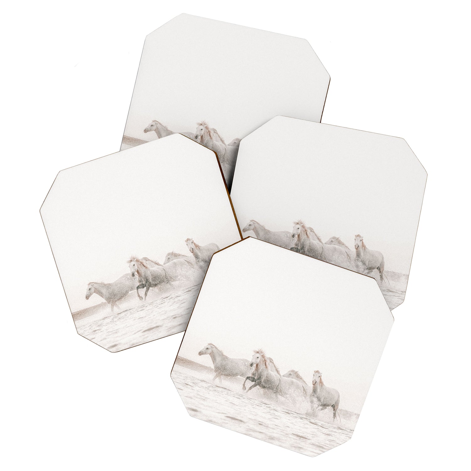 Wild Horses Coaster Gallery Image 1