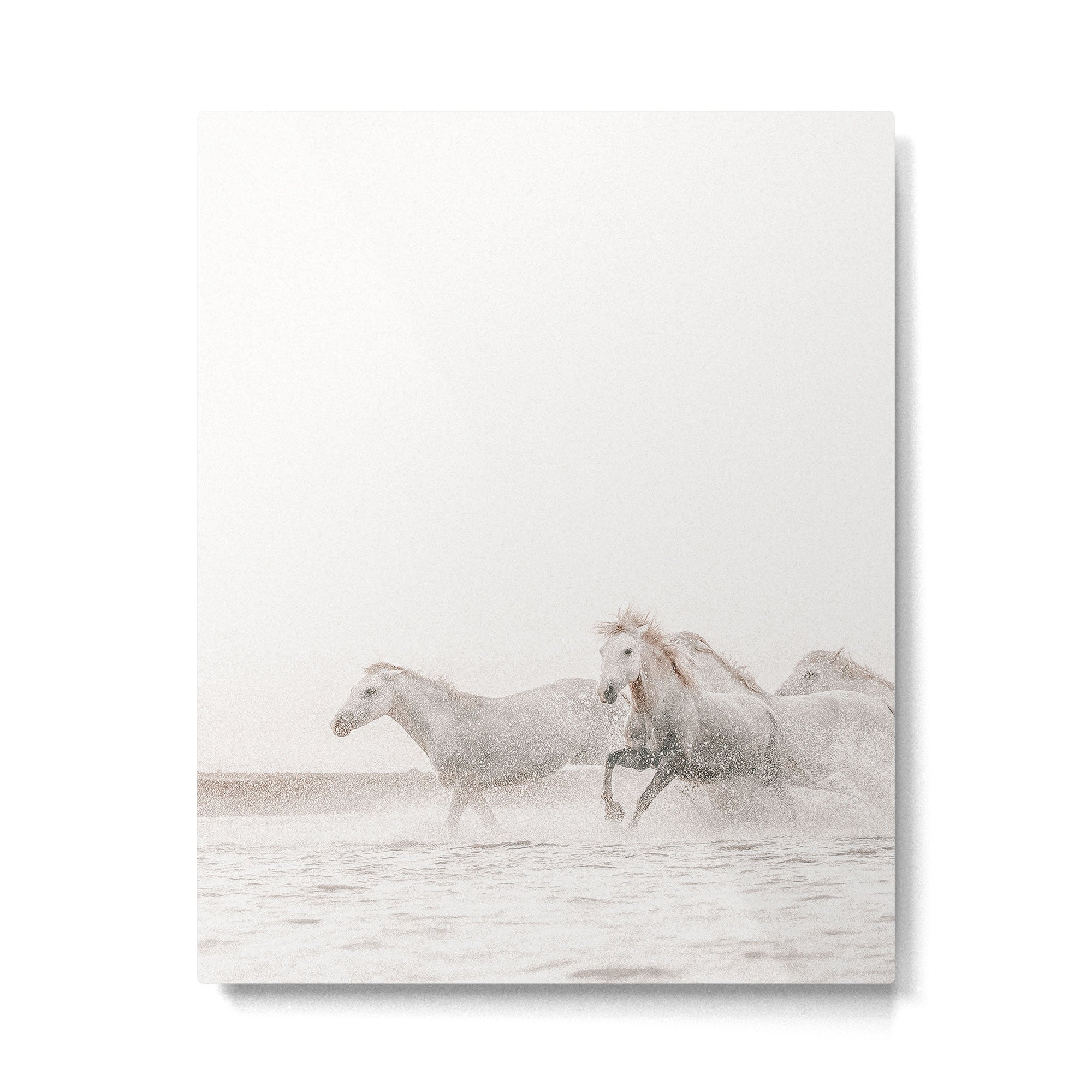 Wild Horses Metal Print Gallery Image 4