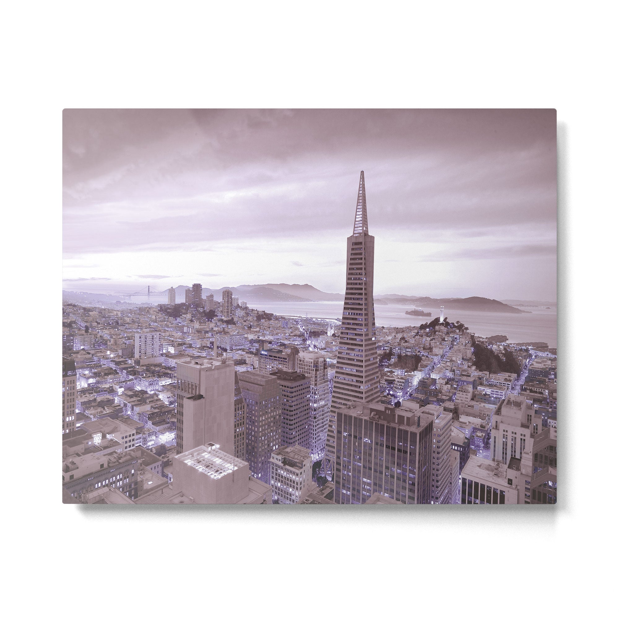 SAN FRANCISCO VII Metal Print Gallery Image 6