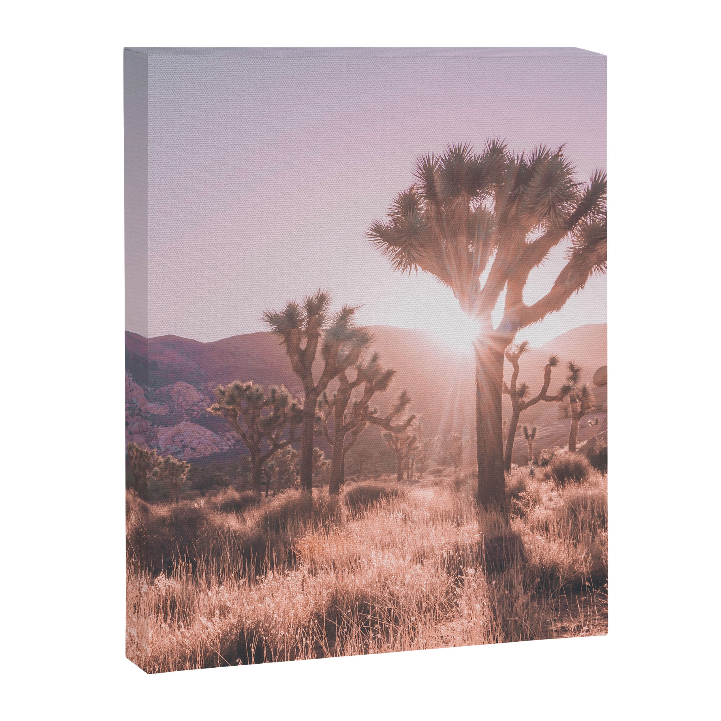 Southwest California Canvas Print Gallery Image 6