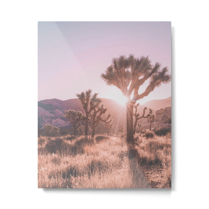 Southwest California Metal Print Gallery Image 1