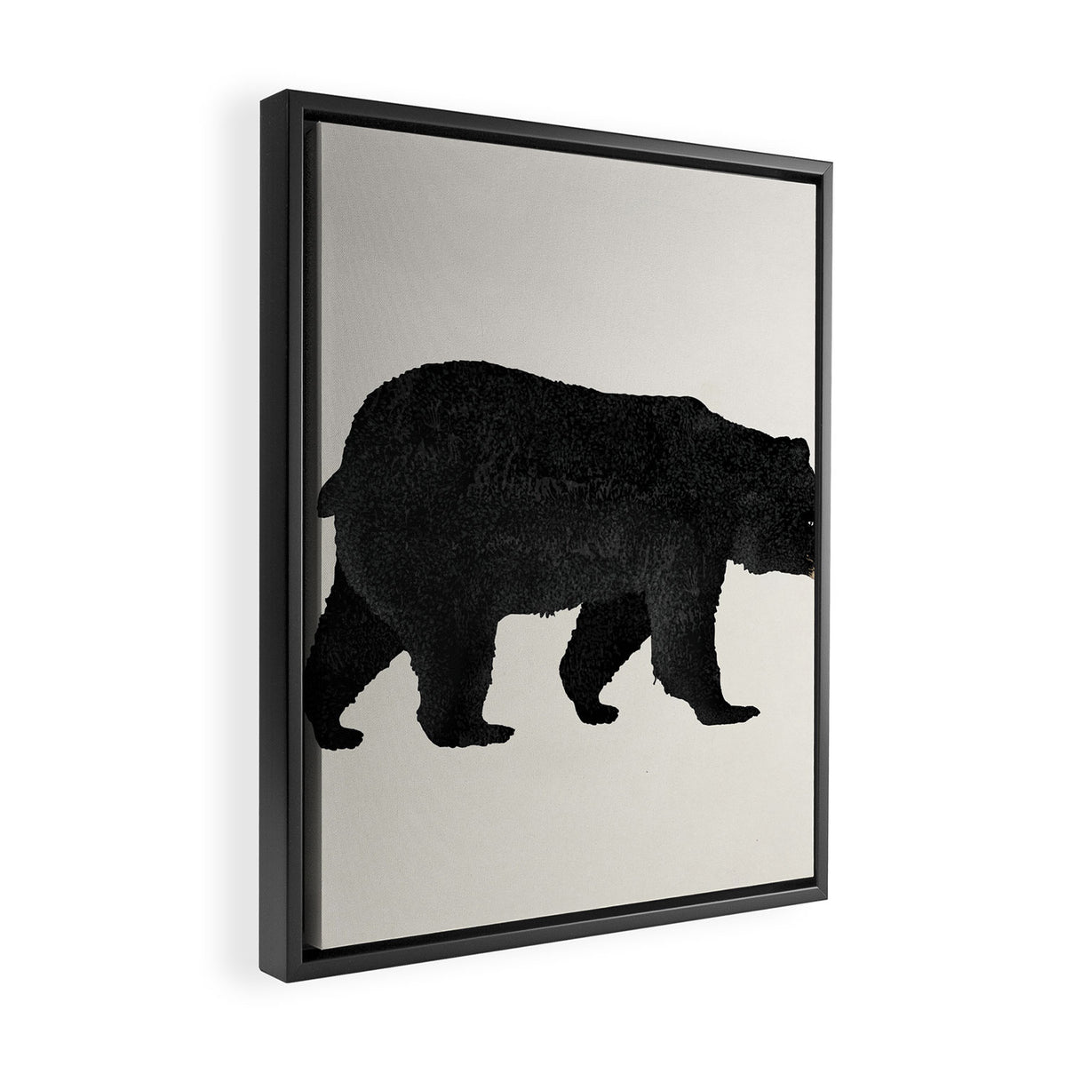 Black Bear Ursus Americanus Framed Canvas Print Gallery Image 2