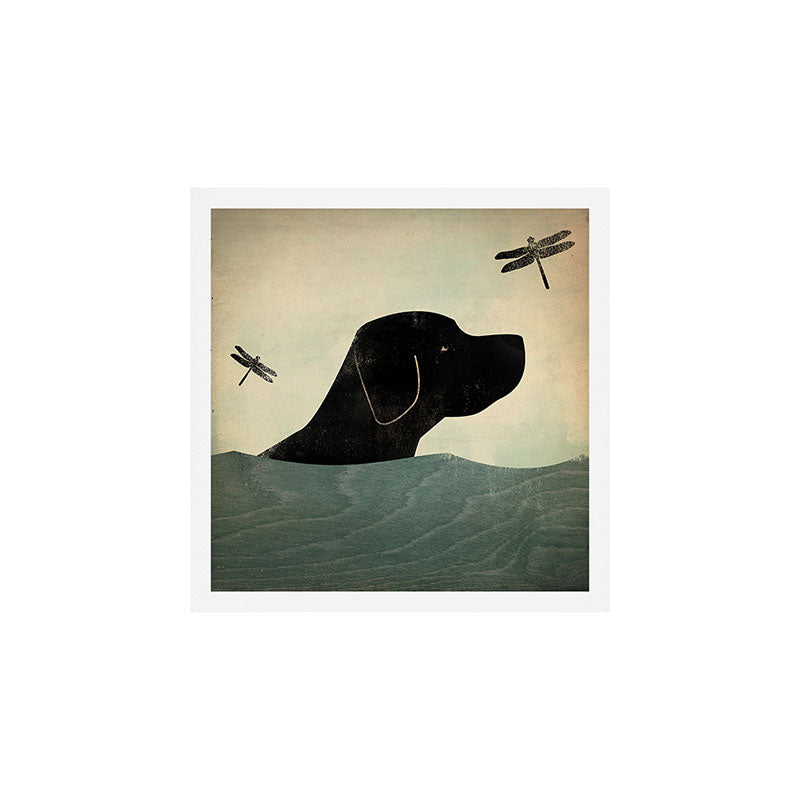 Black Lab Swim Dog Art Print Gallery Image 1