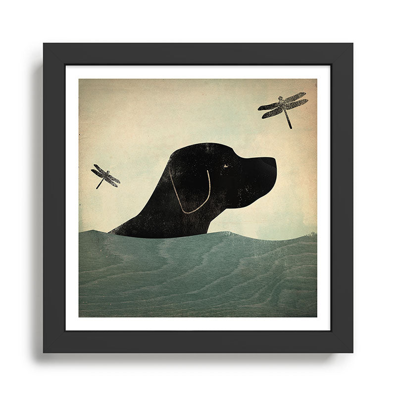 Black Lab Swim Dog Framed Art Print Gallery Image 1