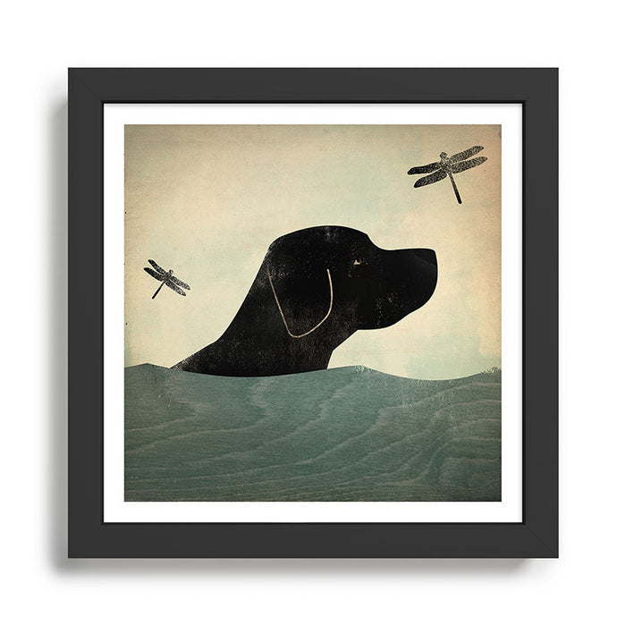 Black Lab Swim Dog Framed Art Print Gallery Image 1