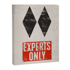 Experts Only Ski Double Black Diamond Canvas Print Gallery Image 6