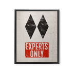 Experts Only Ski Double Black Diamond Framed Canvas Print Gallery Image 6