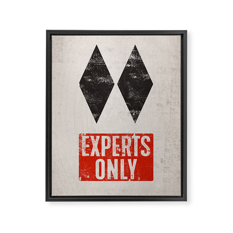 Experts Only Ski Double Black Diamond Framed Canvas Print Gallery Image 6