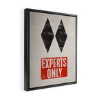 Experts Only Ski Double Black Diamond Framed Canvas Print Gallery Image 2