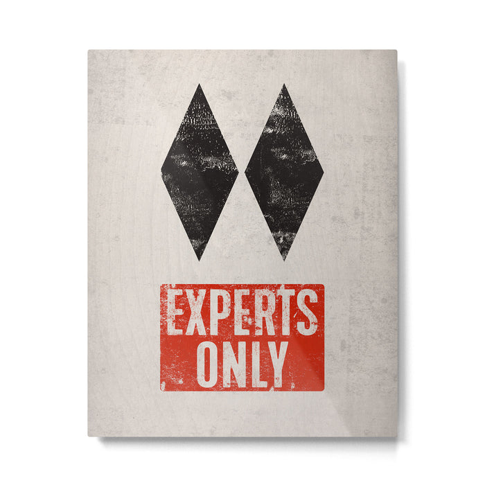 Experts Only Ski Double Black Diamond Metal Print Gallery Image 1