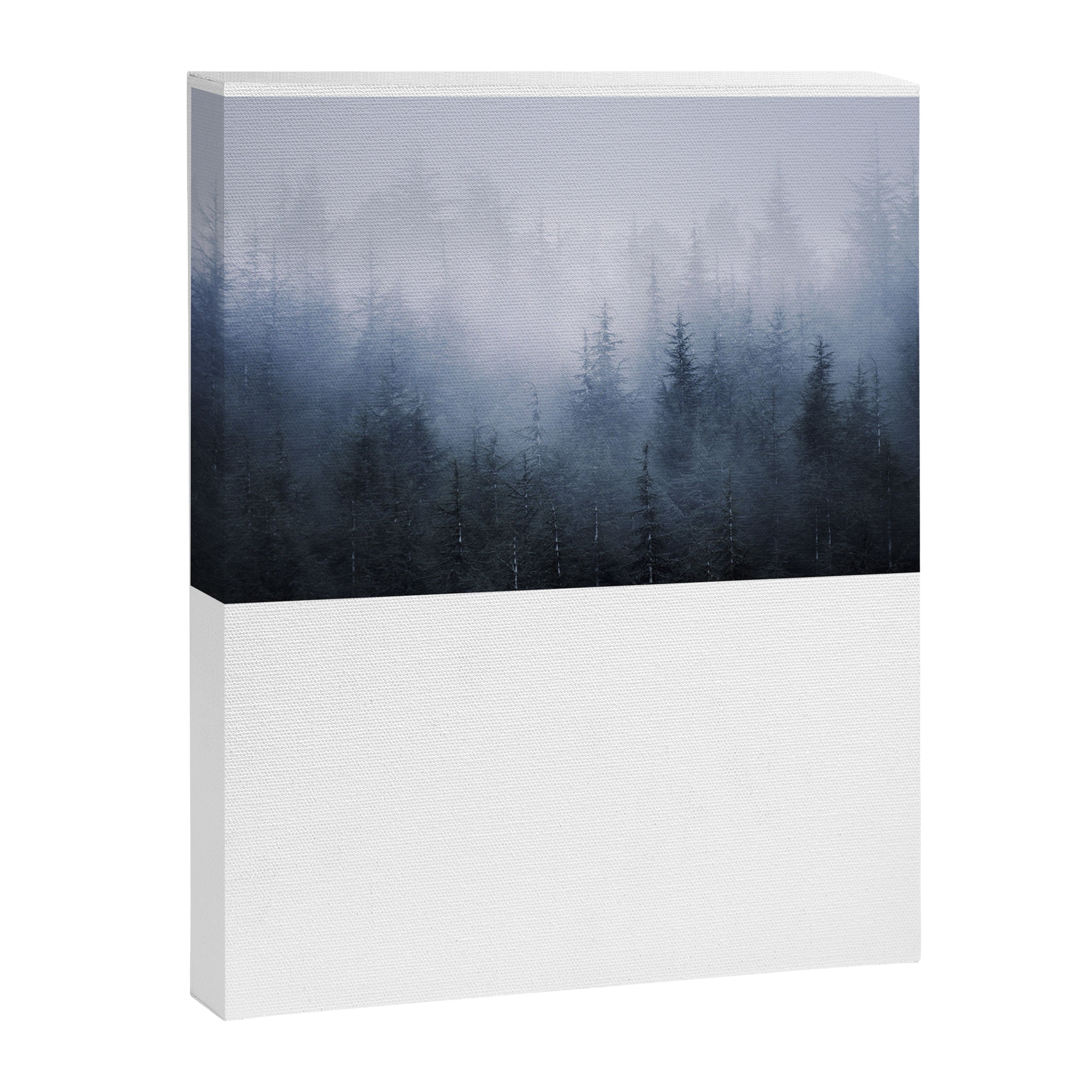 "Simbiosis" Canvas Print Gallery Image 8