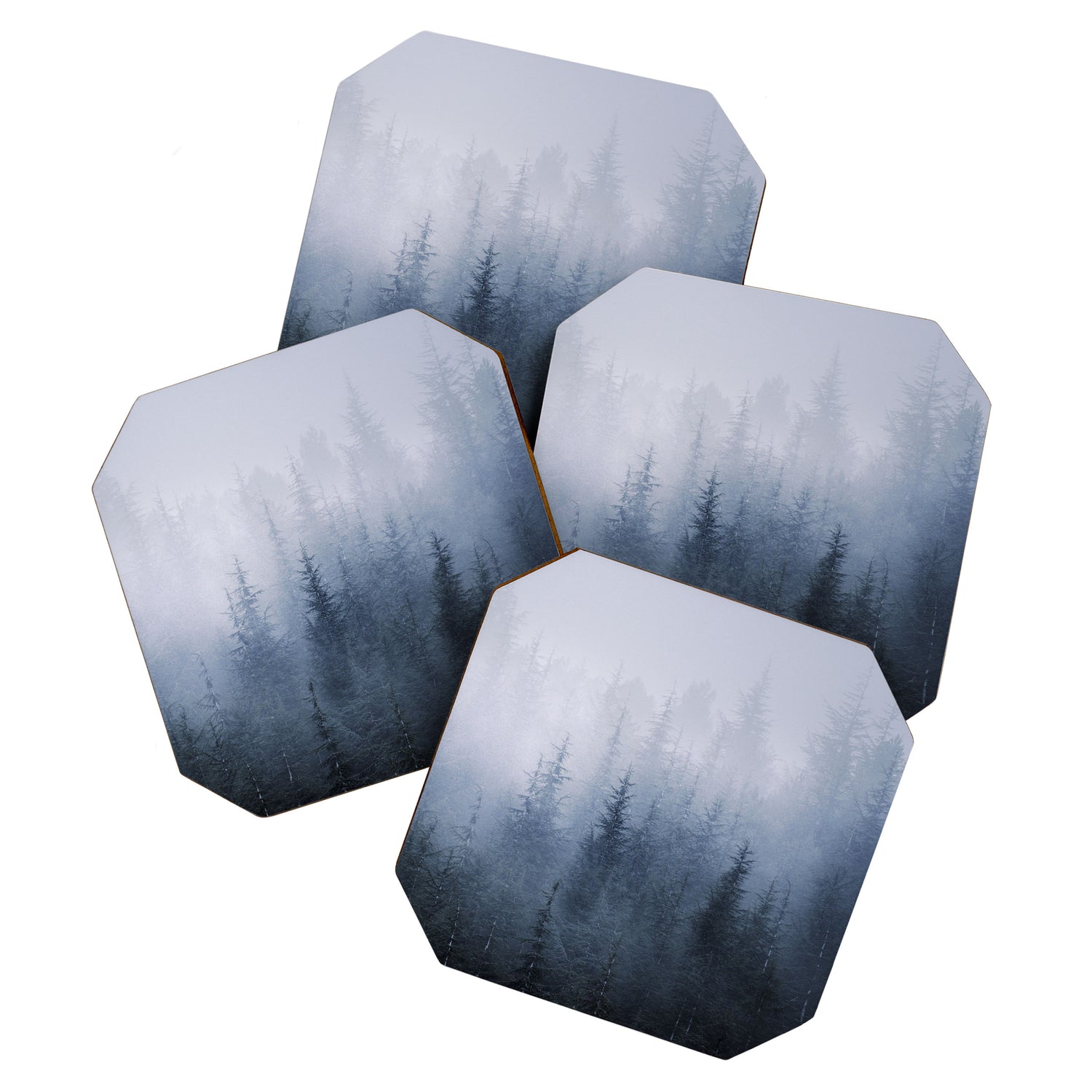 "Simbiosis" Coaster Gallery Image 1