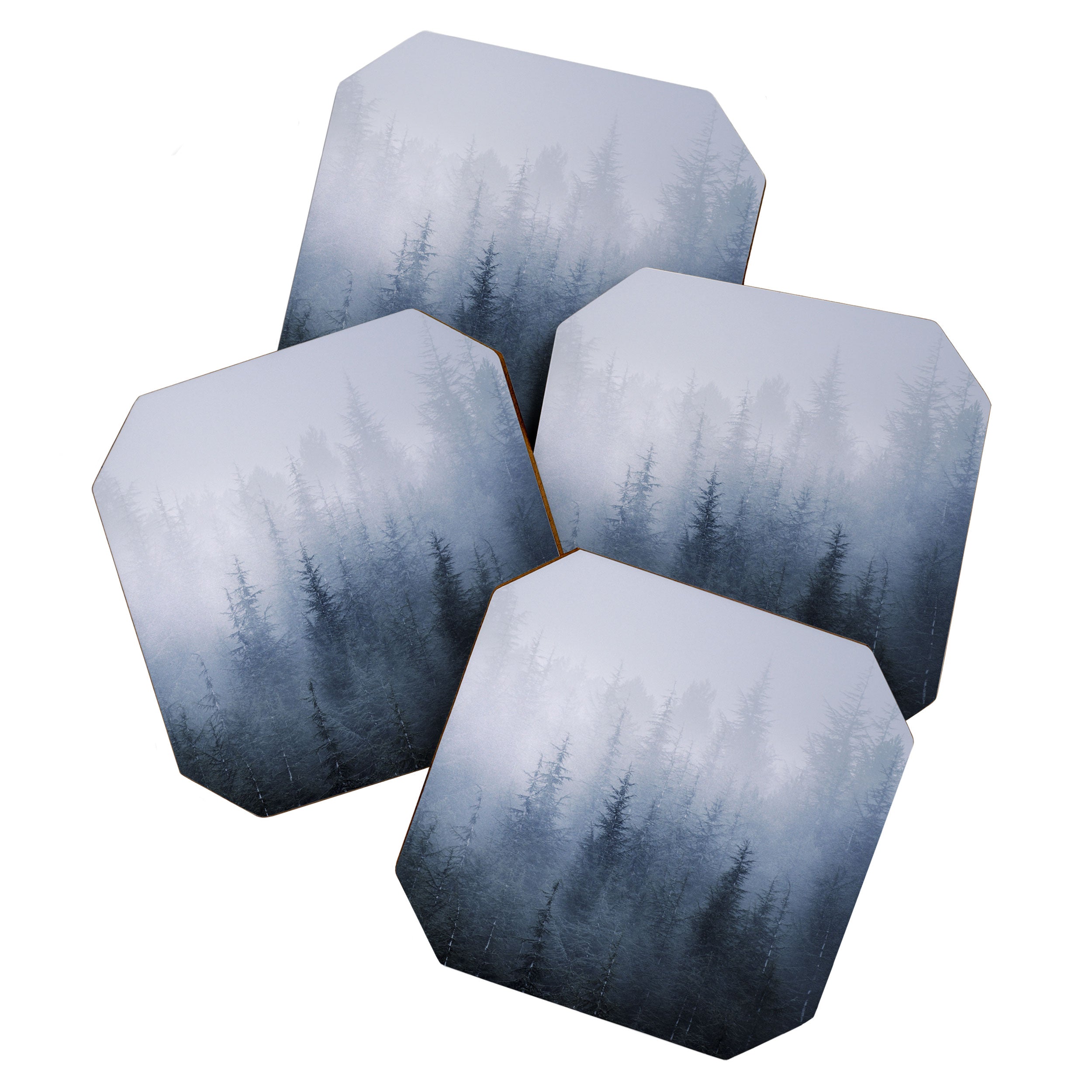"Simbiosis" Coaster Gallery Image 1