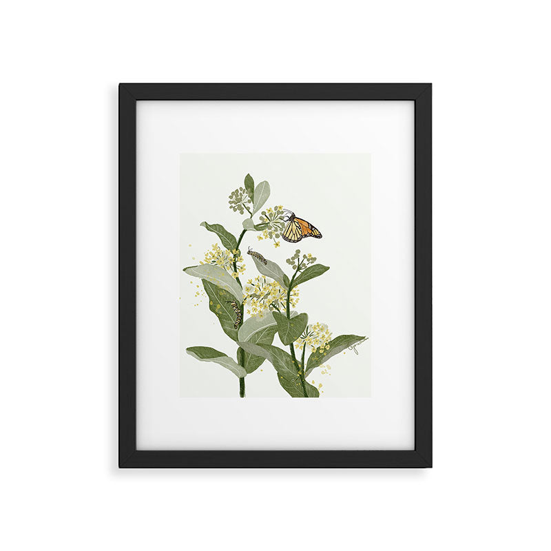 Monarch's Milkweeds Framed Art Print Gallery Image 5