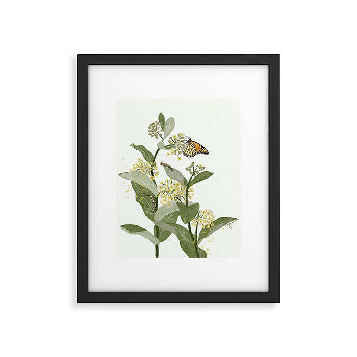 Monarch's Milkweeds Framed Art Print Gallery Image 1