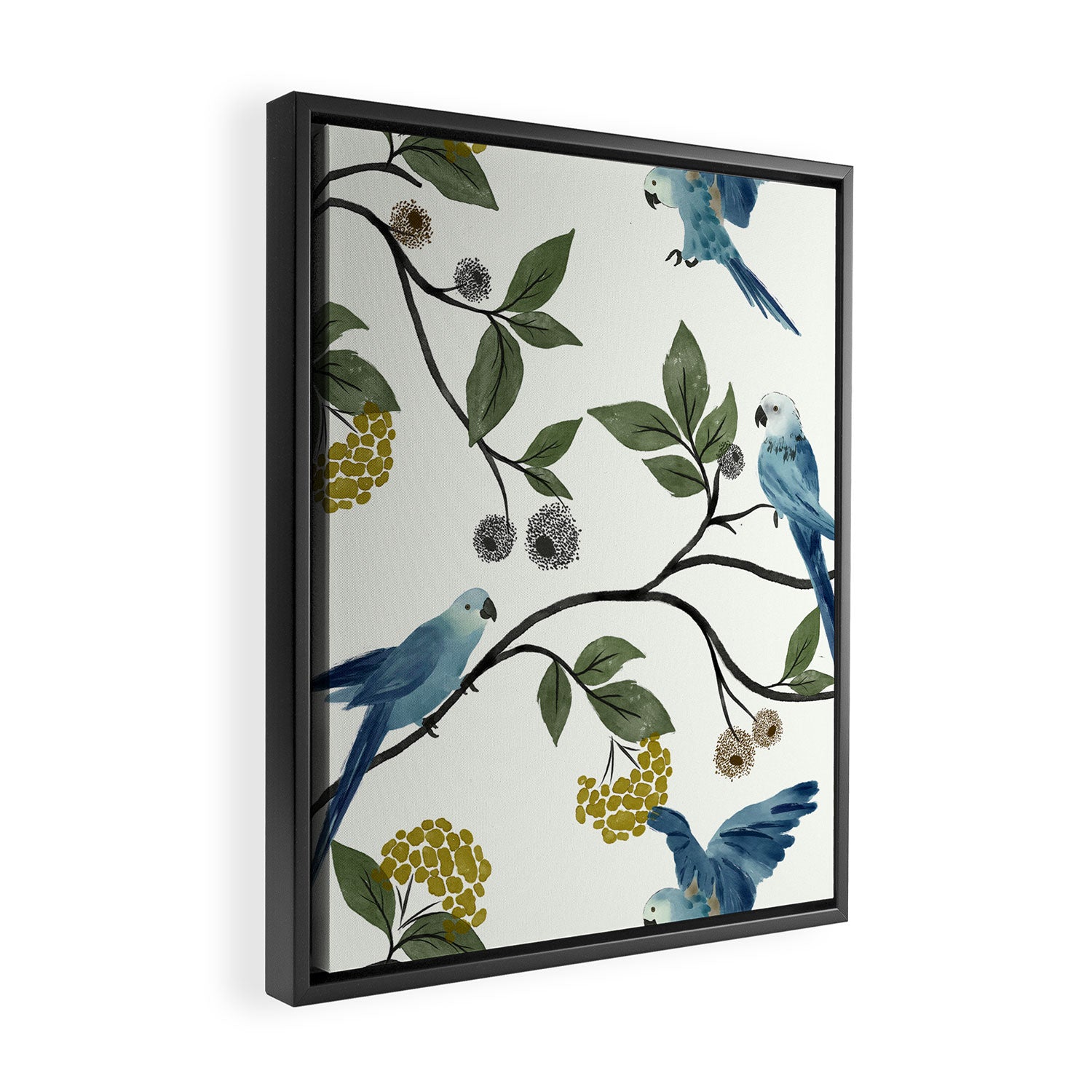 Spix Macaws Framed Canvas Print Gallery Image 2