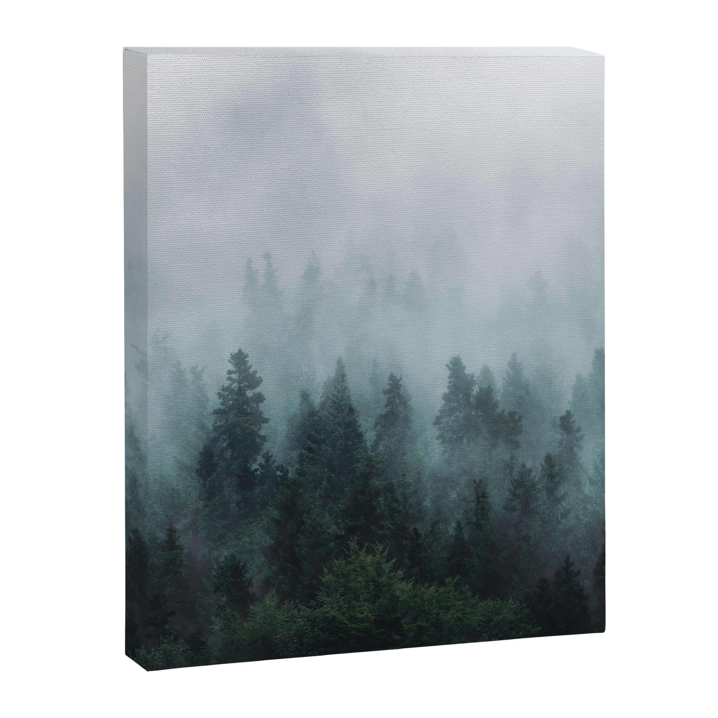 Take Me Somewhere Misty Canvas Print Gallery Image 8