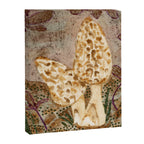 Little Morel Mushrooms in Warm Brown Canvas Print Gallery Image 6