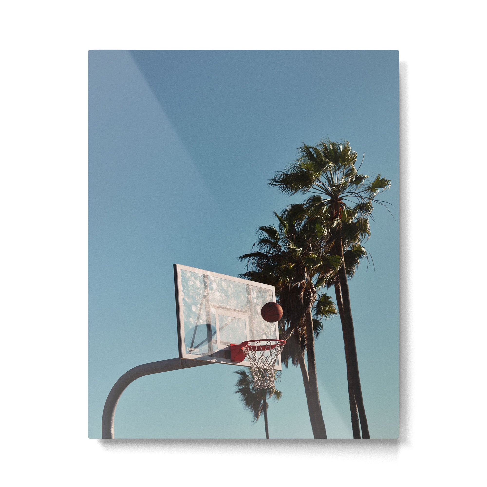 03.24.18 Metal Print Gallery Image 4