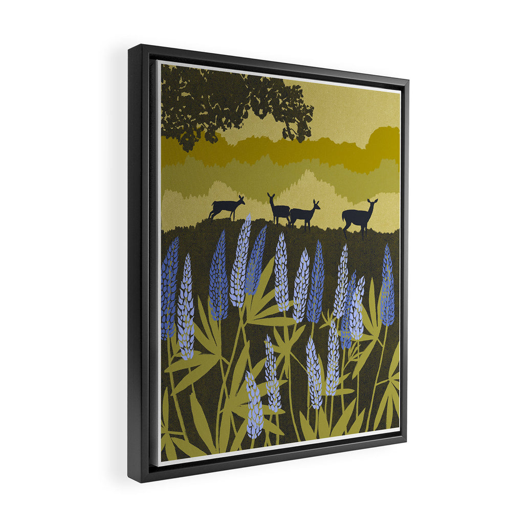 Midwest Lupine Framed Canvas Print Gallery Image 2
