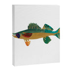 Walleye Canvas Print Gallery Image 8