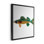 Walleye Framed Canvas Print Gallery Image 2