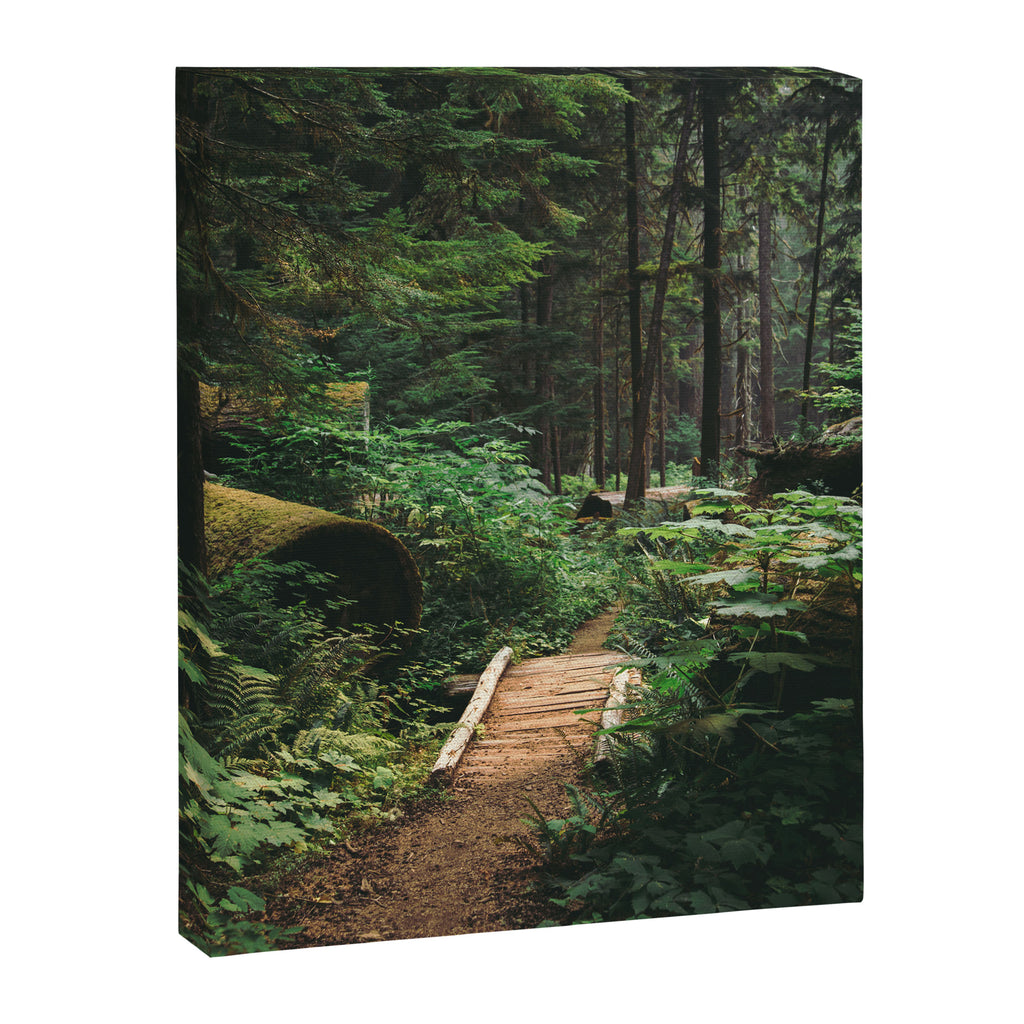 A Walk in the Woods II Canvas Print Gallery Image 6