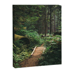 A Walk in the Woods II Canvas Print Gallery Image 6