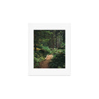 A Walk in the Woods II Art Print Gallery Image 1