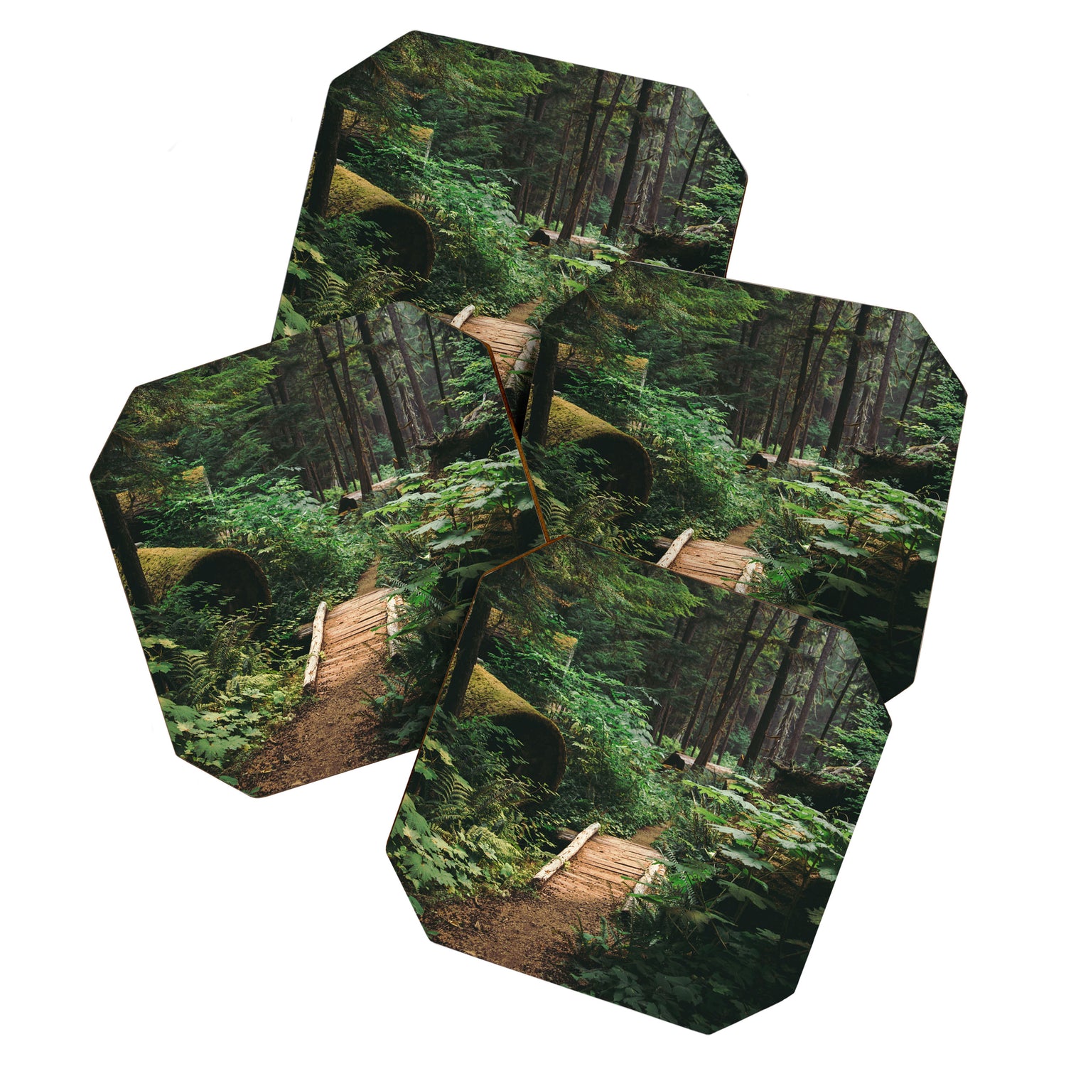 A Walk in the Woods II Coaster Gallery Image 1