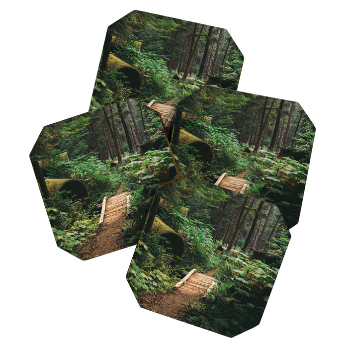 A Walk in the Woods II Coaster Gallery Image 1