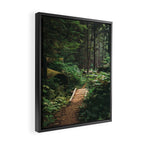 A Walk in the Woods II Framed Canvas Print Gallery Image 2