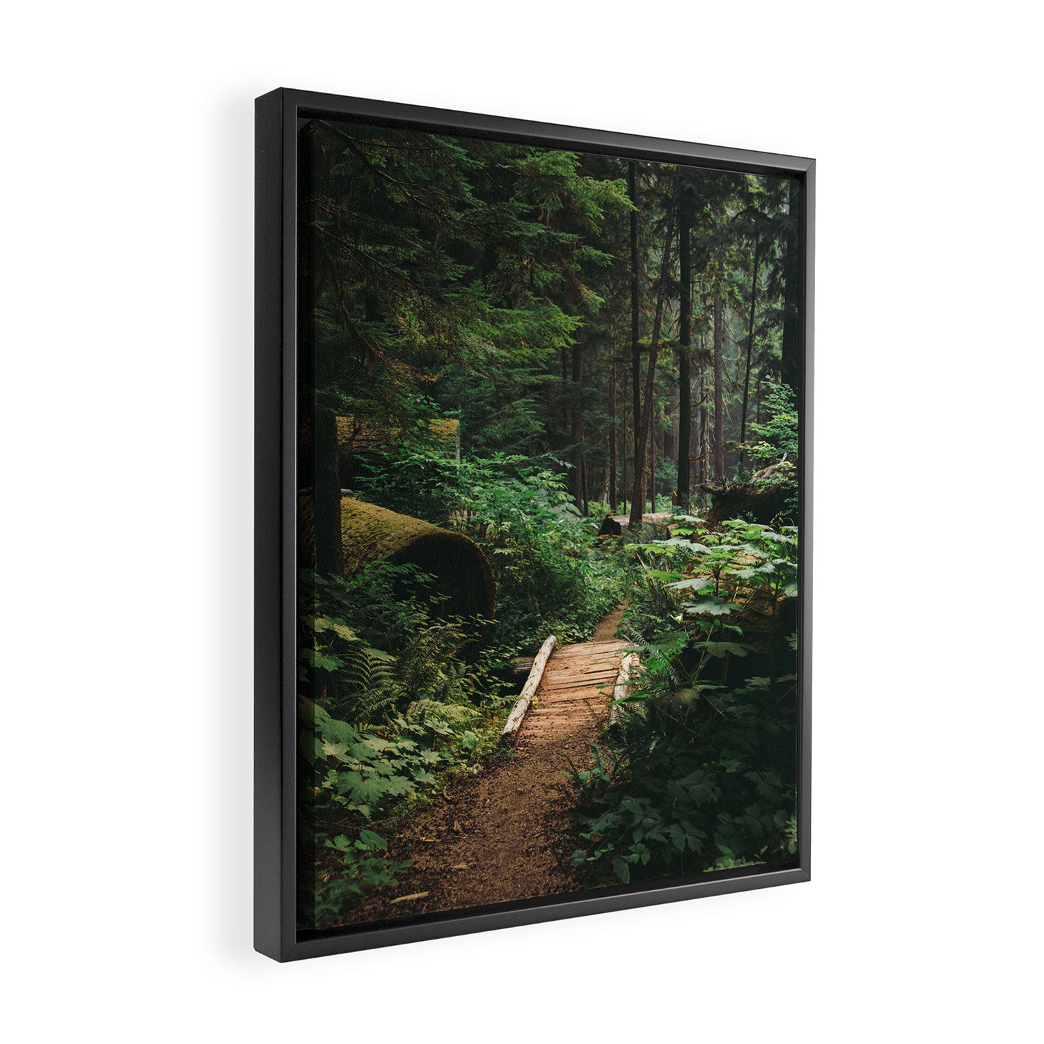A Walk in the Woods II Framed Canvas Print Gallery Image 2