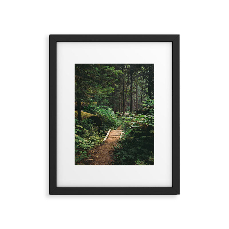 A Walk in the Woods II Framed Art Print Gallery Image 5