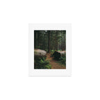 A Walk in the Woods Art Print Gallery Image 1