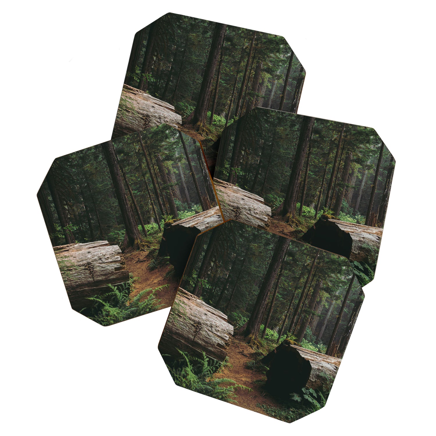A Walk in the Woods Coaster Gallery Image 1