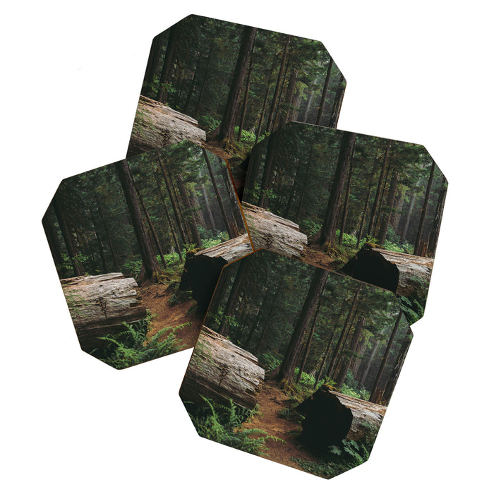 A Walk in the Woods Coaster Gallery Image 1