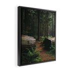 A Walk in the Woods Framed Canvas Print Gallery Image 2