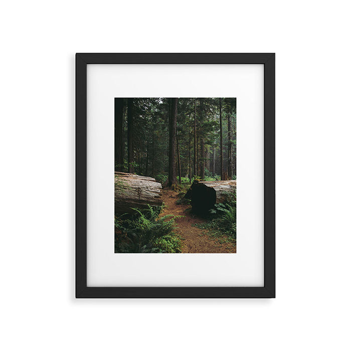 A Walk in the Woods Framed Art Print Gallery Image 1