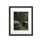 A Walk in the Woods Framed Art Print Gallery Image 5