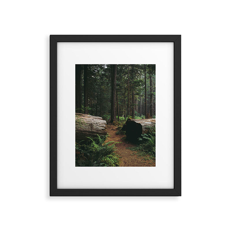 A Walk in the Woods Framed Art Print Gallery Image 5