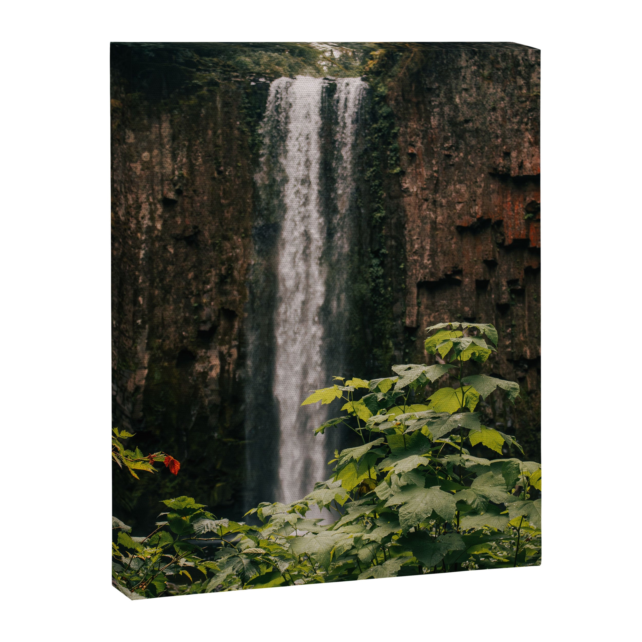 Abiqua Falls Canvas Print Gallery Image 6
