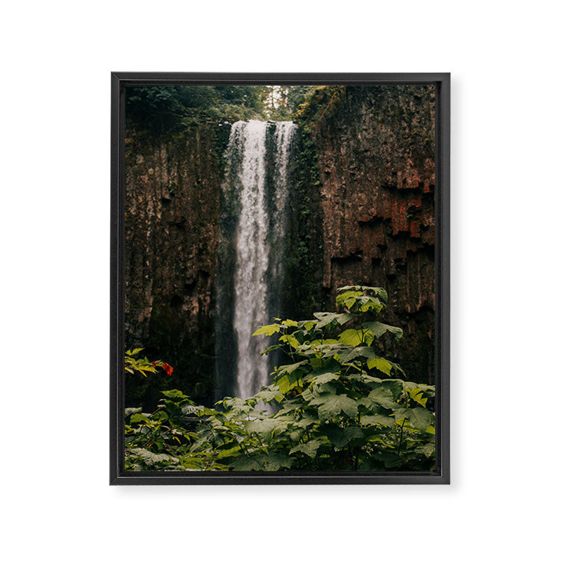 Abiqua Falls Framed Canvas Print Gallery Image 6